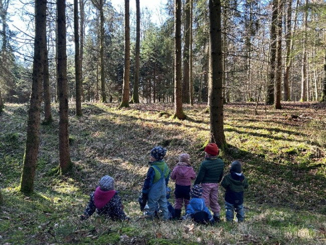 Reutti Waldkindergarten 1